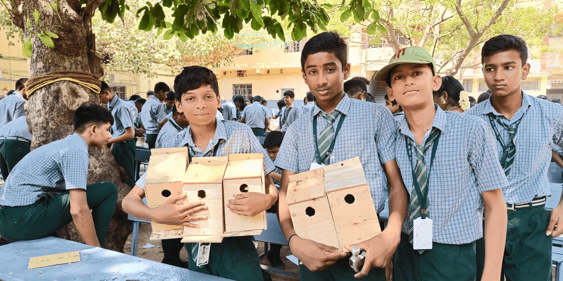 Flyin: A Sparrow Rehabilitation Effort